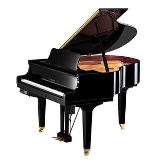 musik-wittl361253