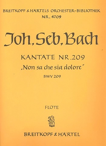 reisser-musik-3481540