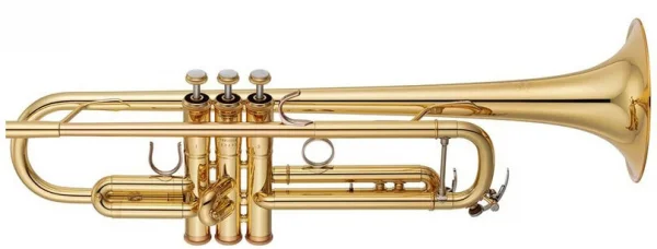 reisser-musik-5582532