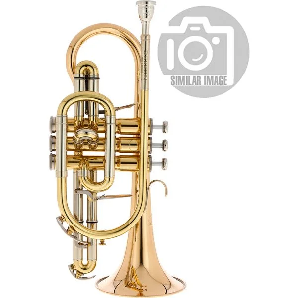 thomann-1543826