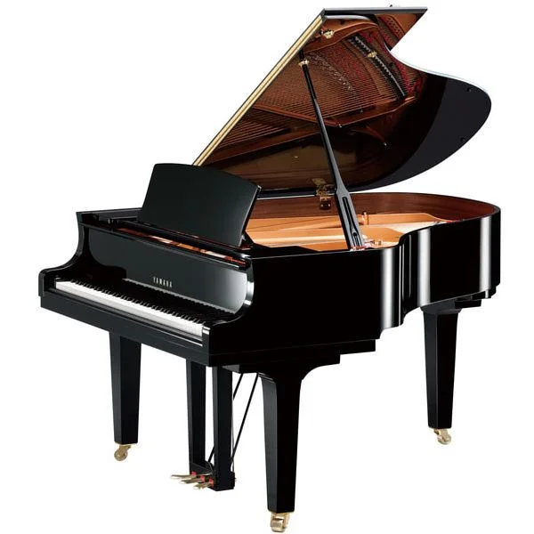 thomann-1869249